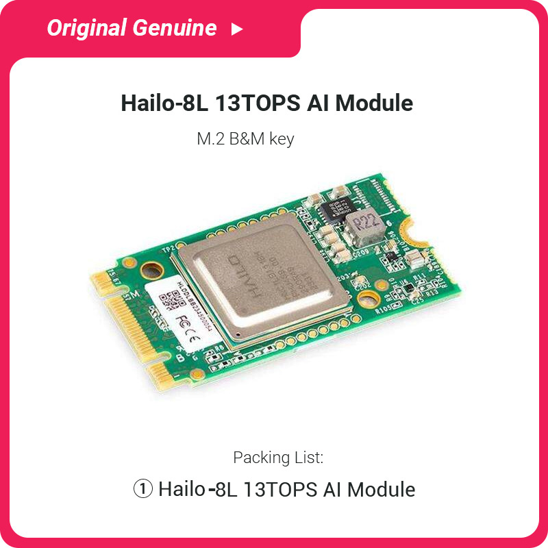 Hailo 8L AIモジュールとCNCケースを備えたRas - Raspberry Pi Ai Kit Hailo-8L のレビューと価格